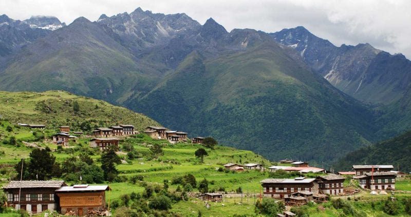 Laya Gasa Trek In Bhutan